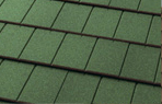다크그린 Dark Green 이미지