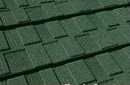 다크 그린 Dark Green 이미지