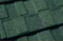포레스트 그린 Forest Green 이미지